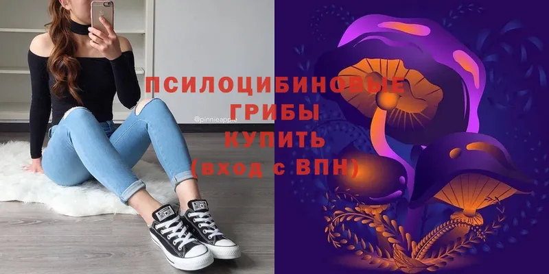 Галлюциногенные грибы мицелий Киселёвск